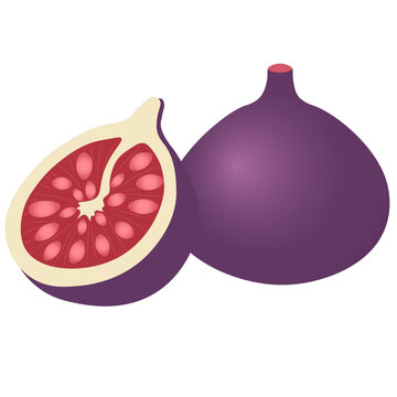 fig