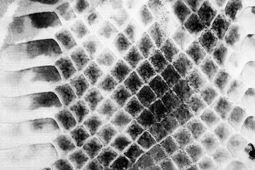 Monochrome painted reptile leather texture with abstract floral pattern for fashion background © reddish