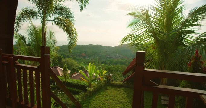Scenic morning view of lush green valley and palm trees in rural Nusa Penida Bali