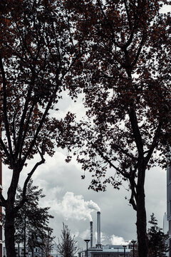 Trees frame industrial infrastructure and a distant smokestack producing a white plume beneath a cloudy urban sky with layered vegetation in the foreground