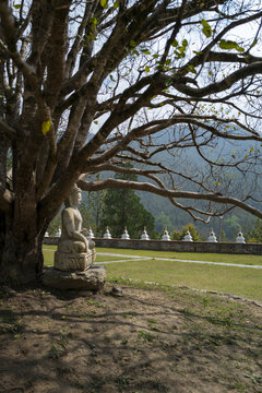 Stone Buddha statue under a tree with distant stupas, Punakha, Punakha, Bhutan