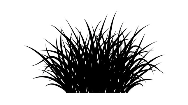 Black silhouette of a tuft of wild grass isolated on transparent background