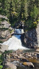 Beautiful waterfall in a rocky forest canyon. A powerful mountain stream cascades down cliffs and rocks into a stream surrounded by green pine trees. Scenic wild nature landscape in summer. © Marina