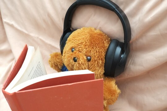 Teddy bear wearing headphones reading red book on fabric background. Studio still life photography with copy space.