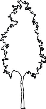 Minimalist black outline of a tall, slender coniferous tree silhouette, simple handdrawn style vector illustration for nature and forest design elements