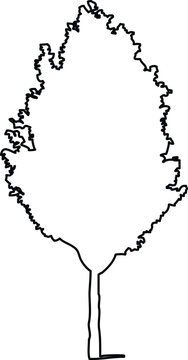 Handdrawn black outline of a tree with a pointed, ovalshaped canopy, simple vector illustration for nature, forest, and environmental design concepts