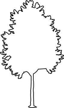 Simple black outline of a deciduous tree with a rounded canopy, handdrawn vector illustration for nature, garden, and landscape design projects
