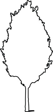 Handdrawn sketch of a deciduous tree silhouette with a textured outline