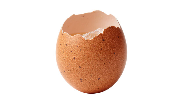 Cracked brown eggshell with visible inner membrane, isolated on transparent background
