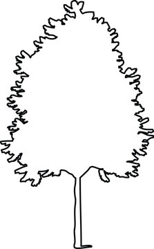 Simple handdrawn outline of a deciduous tree silhouette