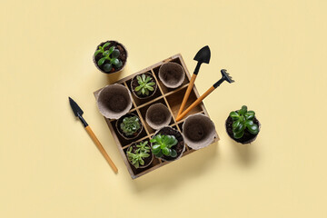 Obraz premium Organizer with plants in peat pots, shovel, spade and rake on beige background. Gardening supplies. Top view