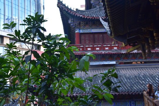 Luohan temple in Chongqing