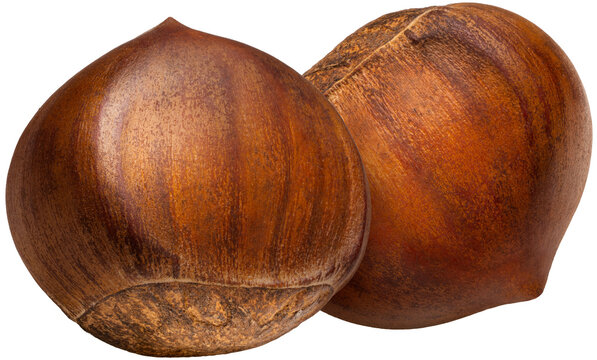 Freshly roasted chestnuts with cracked shells, isolated on a white background, with png file, Perfect visual for healthy snack marketing, gourmet food recipes.