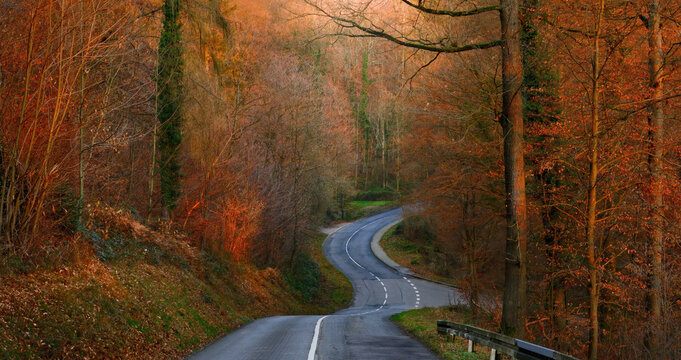 Scenic bendy road in a forest in autumn, with vibrant red and orange leaves of deciduous trees