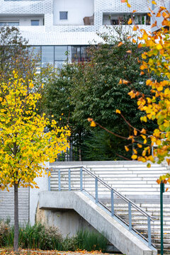 Autumn landscaping surrounds modern apartments in Clichy-Batignolles Paris France with trees integrated into a dense urban development setting