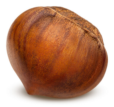 Freshly roasted chestnuts with cracked shells, isolated on a white background, with clipping path, Perfect visual for healthy snack marketing, gourmet food recipes.