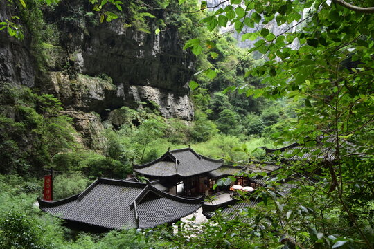 temple in the forest 