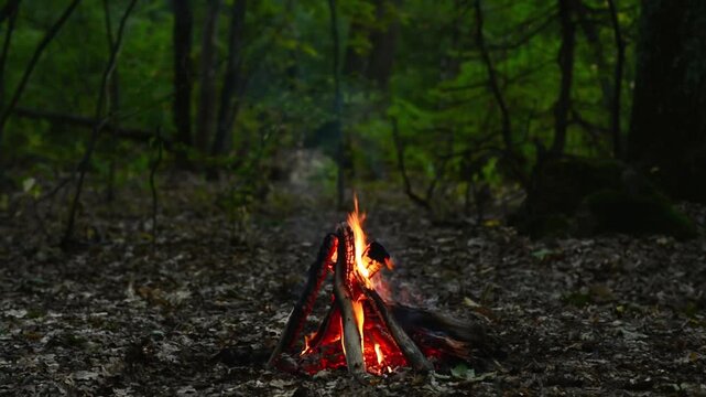 Wide Shot of Forest Bonfire in Woods Seamless Loop with Sound. Endless loop of a small campfire burning in the middle of a dark, dense forest with natural crackling fire audio for background ambiance 