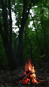Campfire Burning in Dark Forest Seamless Loop with Sound. Seamless loop of a campfire burning in a dark night forest with glowing embers and natural crackling fire audio for ASMR and background relaxa