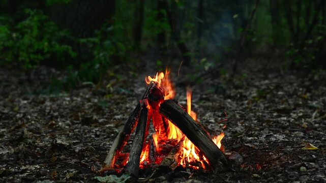 Campfire Burning in Dark Forest Seamless Loop with ASMR Sound. Seamless loop of a campfire burning in a dark night forest with flying sparks and natural crackling fire audio.