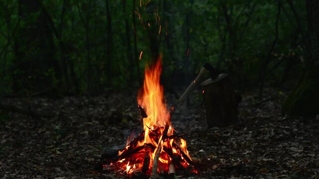Cozy Campfire Burning in Dark Forest Seamless Loop with ASMR Sound. Seamless loop of a bright campfire burning in a dark forest with natural crackling fire audio for relaxation.