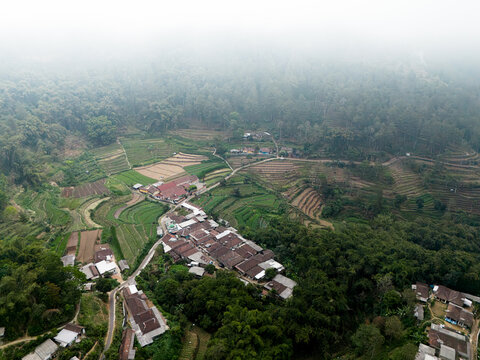 Aerial view of Brau Hamlet featuring terraced farming landscapes, dense forest, and misty mountain conditions in Batu, East Java, Indonesia.