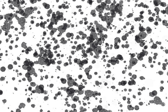 Grunge black ink splatters on white background, messy paint droplets texture, abstract artistic spray pattern for graphic design