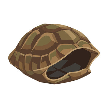 Turtle Carapace Shell UI 2D game asset polygon lasso fill painting, Cartoon PNG Illustration