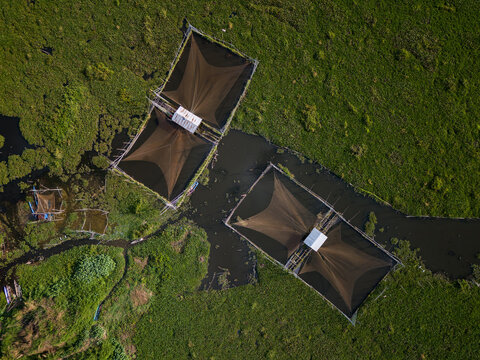 Aerial view of Kesongo fishing nets in the marshy wetlands of Tuntang, Central Java, Indonesia.