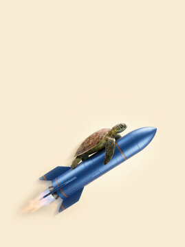 Sea turtle flying on blue rocket against plain beige background