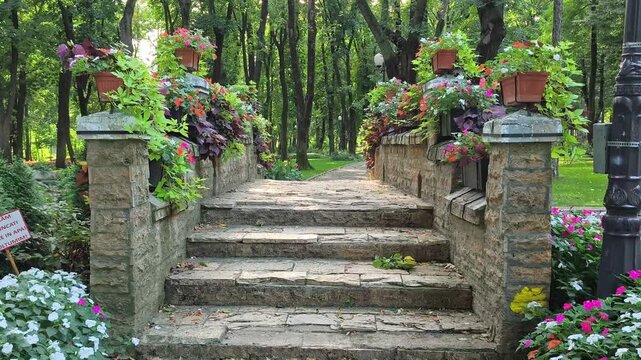 Stone stairs decorated with colorful flower planters leading through a sunlit tree alley in historic Copou Park, Iași.