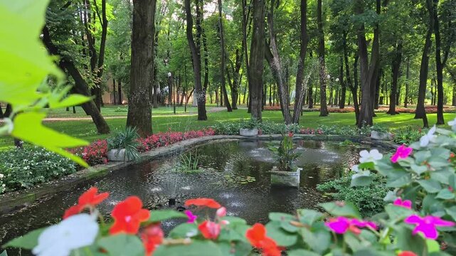 Scenic view of a small artesian water fountain in a pond surrounded by lush green trees and shady walkways in historic Copou Park, Iași.