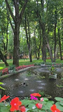Scenic view of a small artesian water fountain in a pond surrounded by lush green trees and shady walkways in historic Copou Park, Iași.