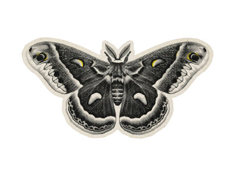 Moth illustration in vintage halftone engraving style with yellow eyespot accents on transparent background