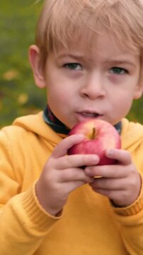Cute blonde boy eating big red apple in autumn orchard. School child biting fresh fruit. Little kid enjoying healthy snack during harvest season. Vertical video for family farming and childhood theme.