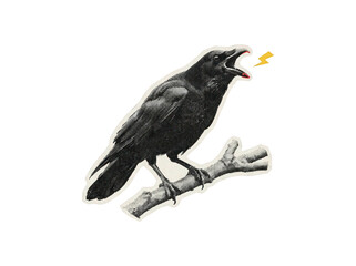 Obraz premium Black raven perched on a tree branch cawing with open beak illustration on transparent background