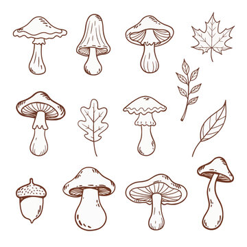 Wild-Mushroom-Doodle-Art