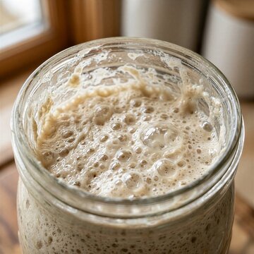 Sourdough starter bubbling in jar near a kitchen window  