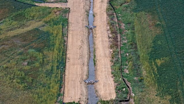 Aerial view of a drainage canal with erosion control matting running through fields in Longmont, Colorado, United States.