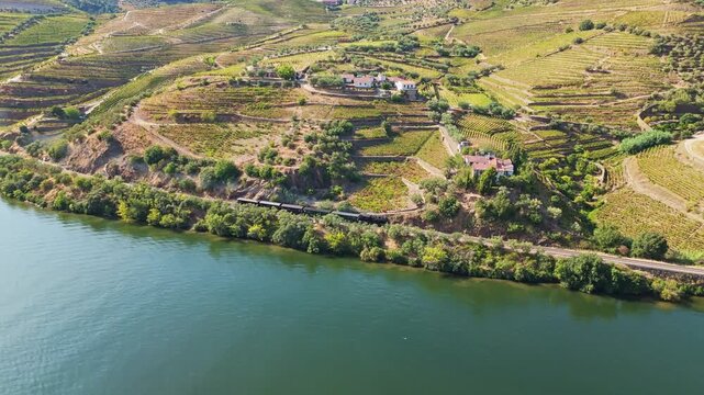 Douro historic train beside river vineyard in Portugal, passing terraced slopes and green water near the Douro River. Slide trucking shot