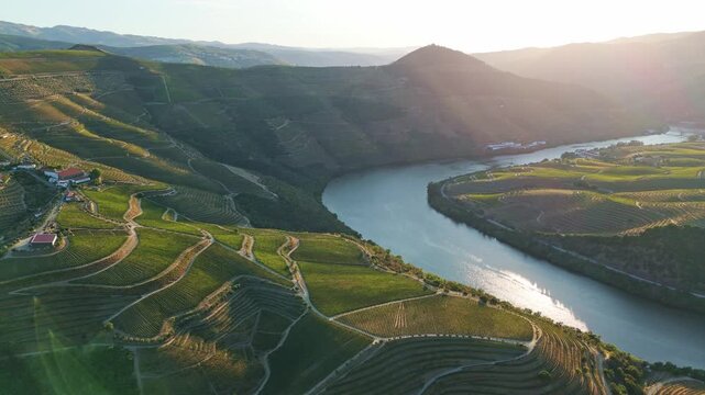 Aerial view of Douro Valley vineyards beside the Douro River in Portugal with sunset light and terraced hills. Slide trucking shot