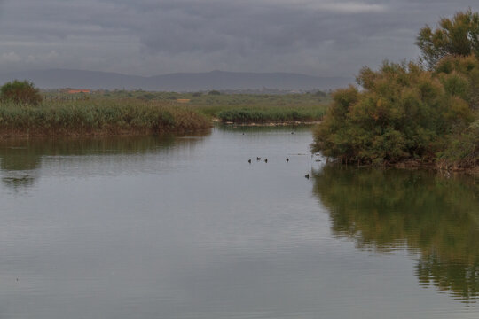 Lagoa Natural dos Salgados, Alcantarilha e Pera, Algarve