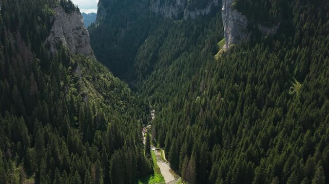 Cliffside Route Through the Zanoaga Forest