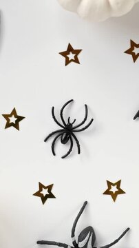 Top view of plastic spider and black bats spinning on white background in vertical orientation, Halloween holiday decoration rotating. Spooky seamless background. Halloween backdrop