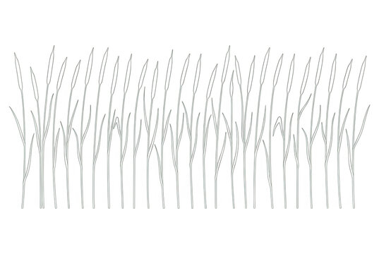 Ilustra&ccedil;&atilde;o de contorno de grama ou trigo