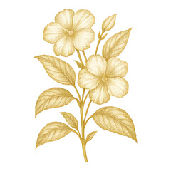 Obraz premium PNG Elegant golden floral illustration