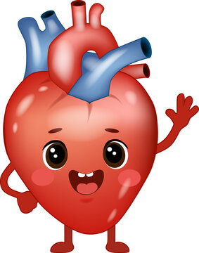 Cute Human Heart Cartoon Character with Anatomical Blood Vessels, Medical Vector Illustration. Happy Anatomical Heart Mascot Waving Hand, Cute Cardiovascular Organ Character