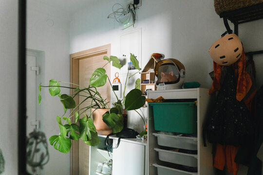 Packed moving bags and a potted plant sit on the floor in the bright entryway of an apartment. Authentic home relocation and property transition concept.