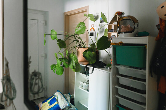 Packed moving bags and a potted plant sit on the floor in the bright entryway of an apartment. Authentic home relocation and property transition concept.
