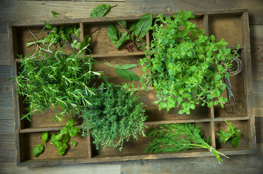 Wooden box of different culinary herbs, string and scissors